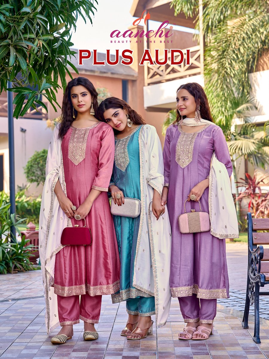 AANCHI PLUS AUDI 1