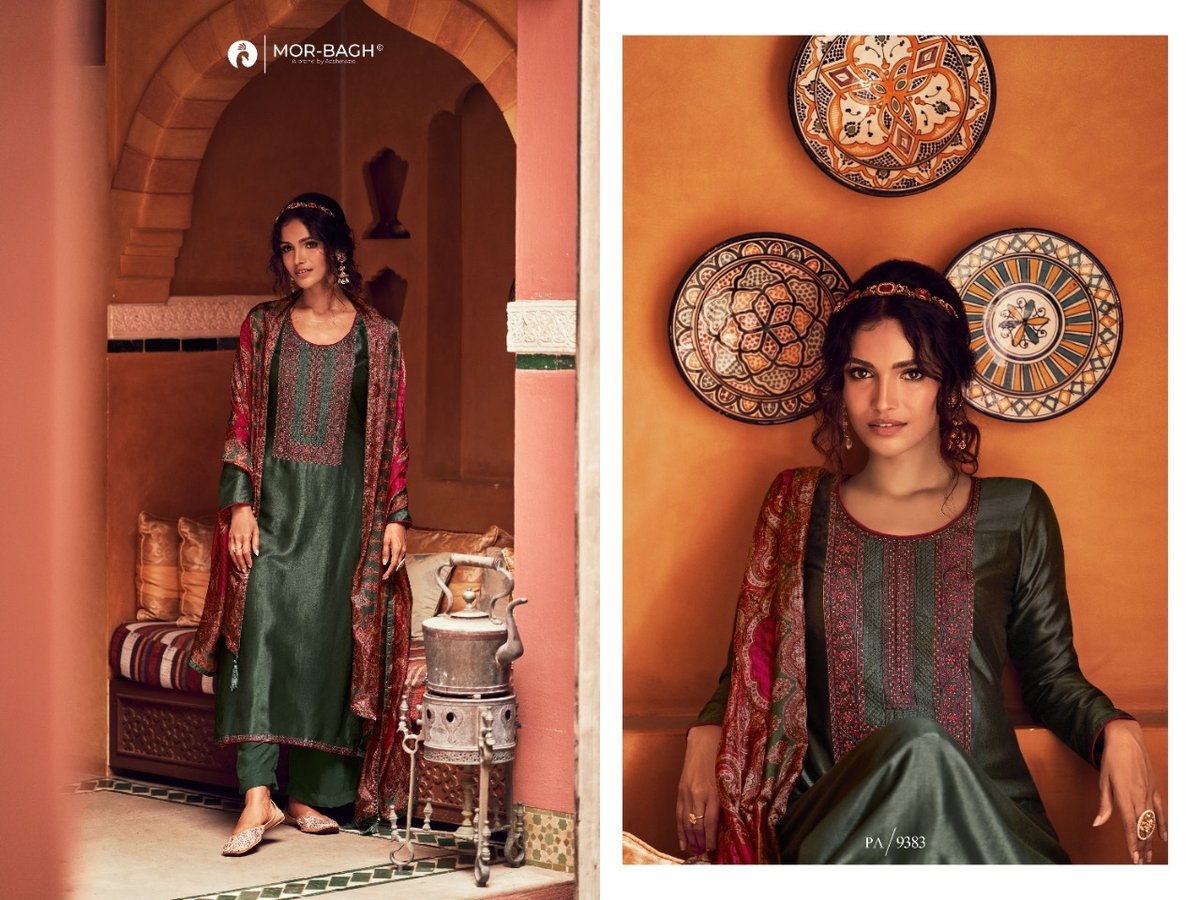 Aashirwad Creation Mor Bagh Pakiza 9382-9387 Series 2