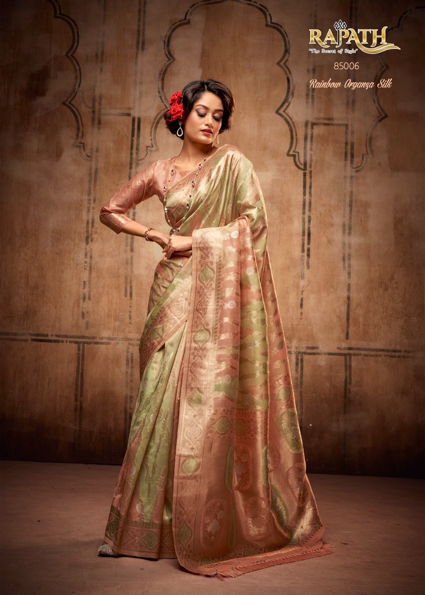 Rajpath Attari Organza 85001-85006 Series 6