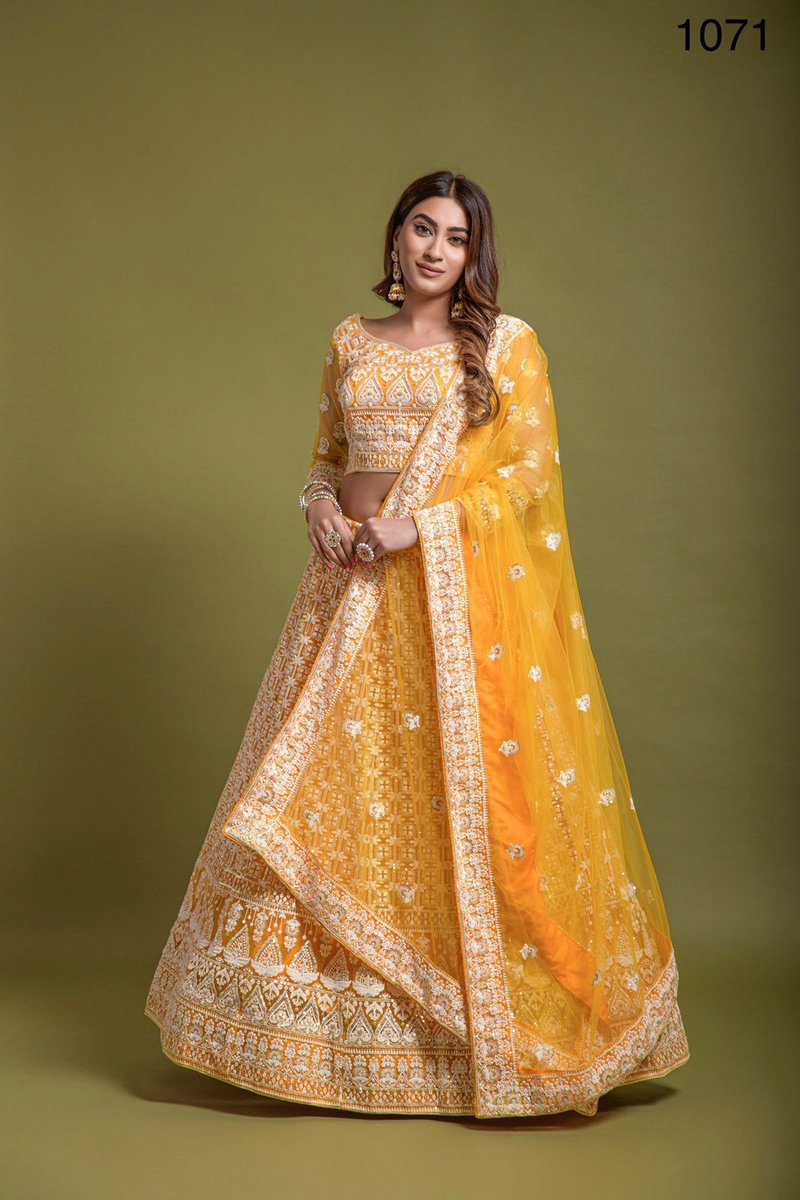 Anjani Art Designer Lehenga 1071 Design 1