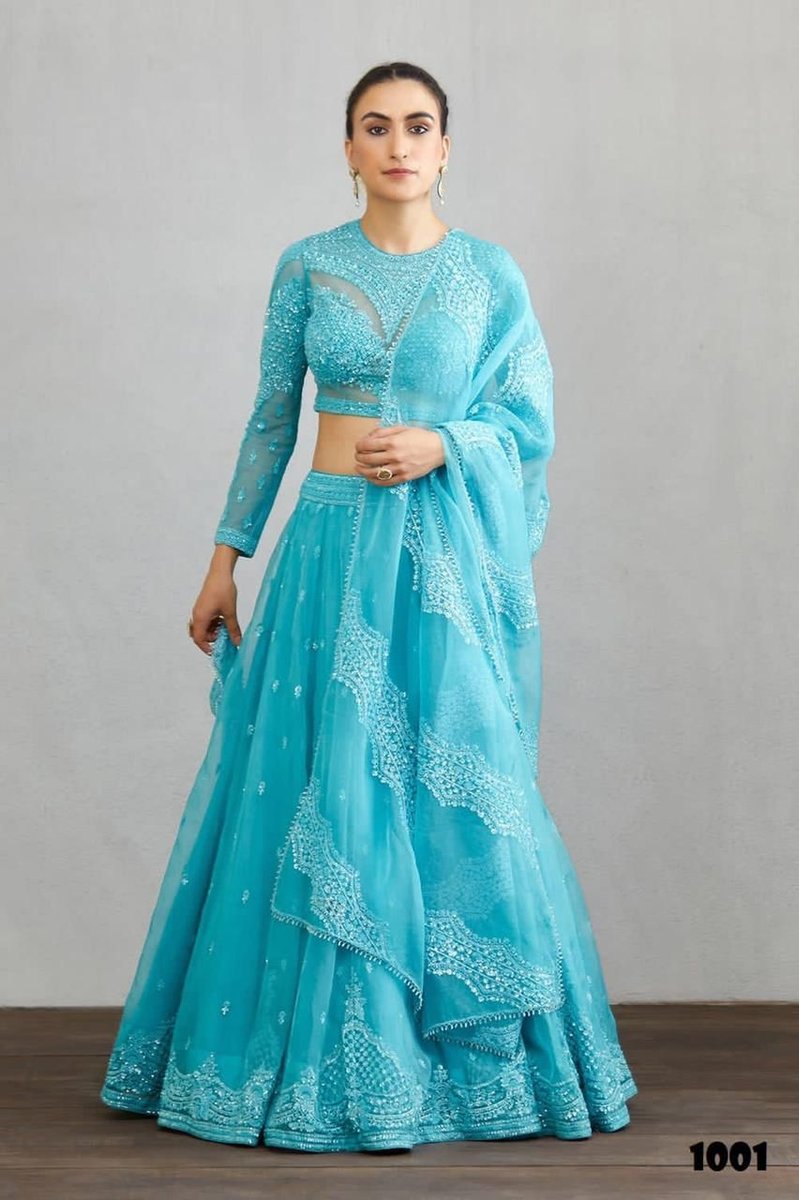 Bollywood Designer Torani Lehenga Choli  1001-1002 Design 1