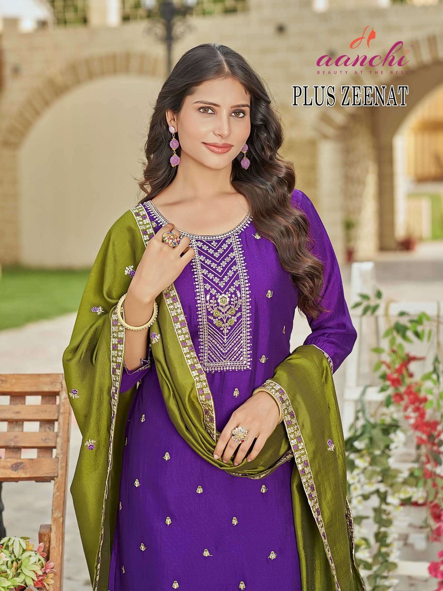 AANCHI PLUS ZEENAT 6