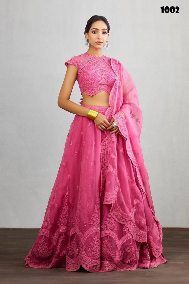 Bollywood Designer Torani Lehenga Choli  1001-1002 Design 3