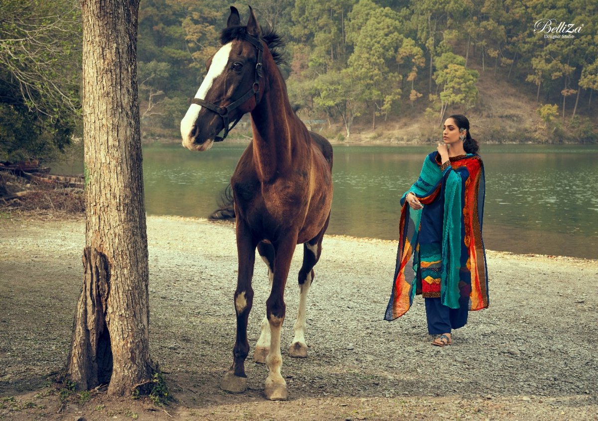 Belliza Designer Riwaaz vol-2 533-001 to 533-010 Series 8