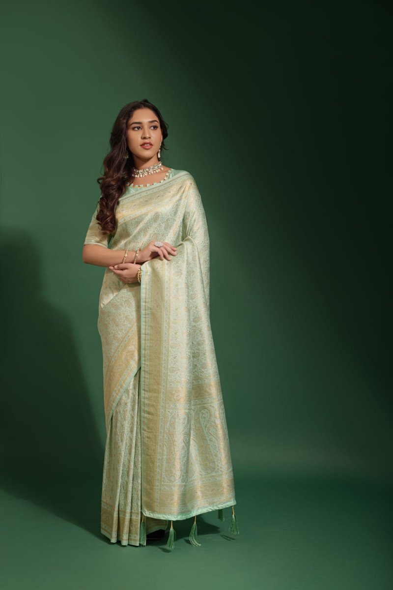 Rajpath Fabrics Khadiyal Kanchivaram Colors 5
