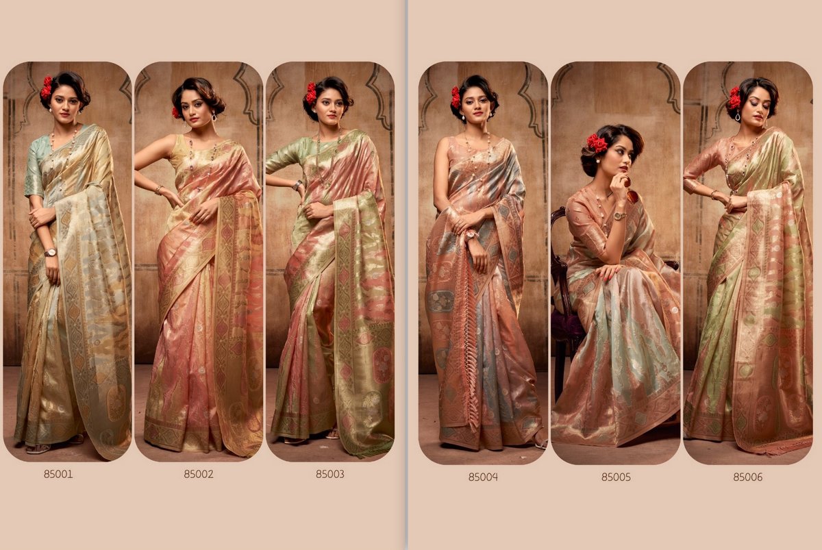 Rajpath Attari Organza 85001-85006 Series 7