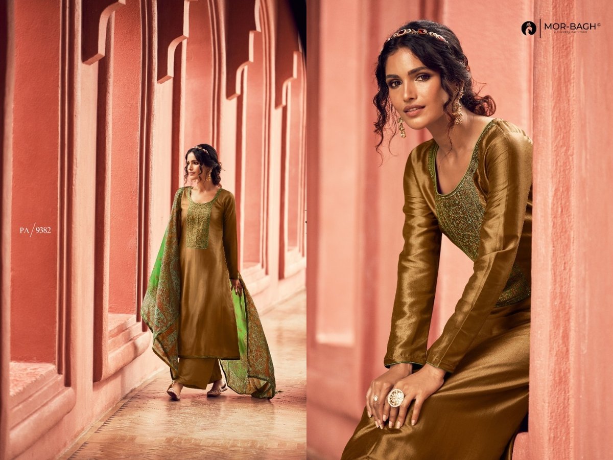 Aashirwad Creation Mor Bagh Pakiza 9382-9387 Series 1