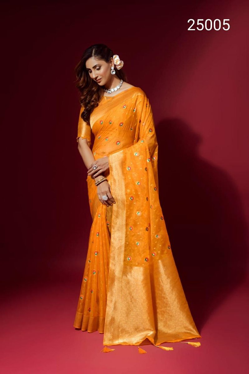 Rajpath Amuly Silk 25001-25006 Series 5