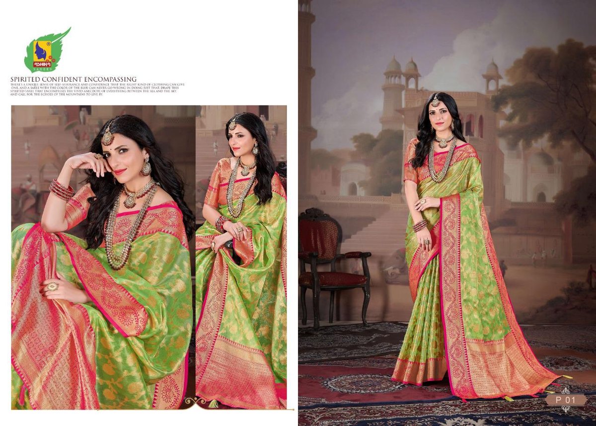 Ashika Saree Paaneri P-01 to P-06 Series 1