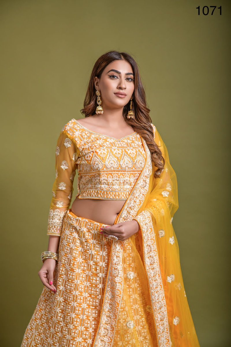 Anjani Art Designer Lehenga 1071 Design 2
