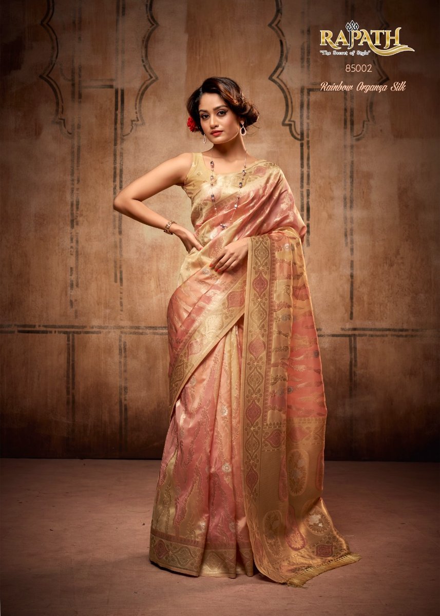 Rajpath Attari Organza 85001-85006 Series 2
