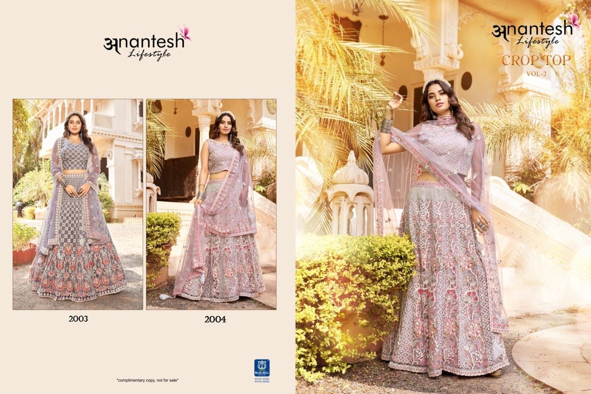Anantesh Lifestyle Crop Top Vol-2 2003-2004 Series 3