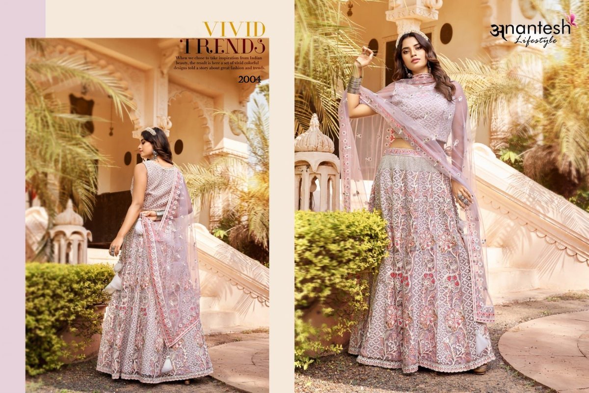 Anantesh Lifestyle Crop Top Vol-2 2003-2004 Series 2