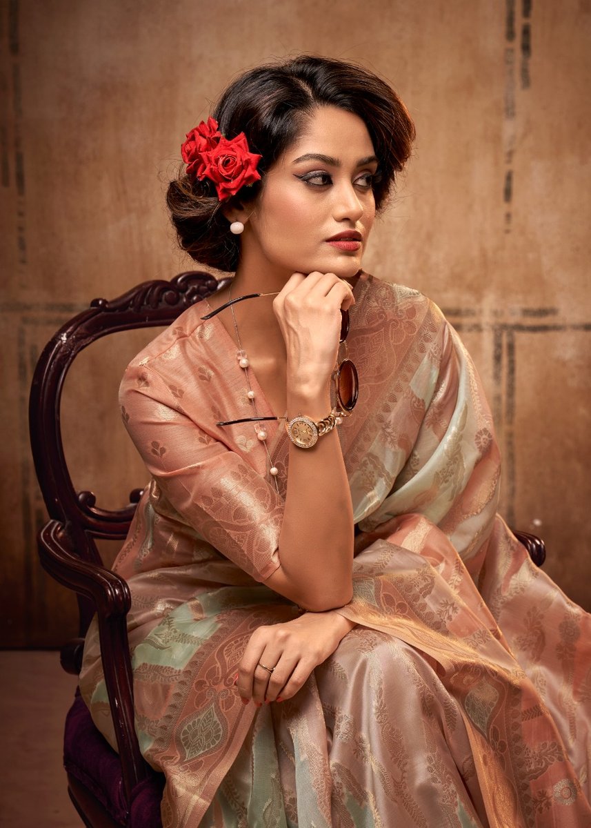 Rajpath Attari Organza 85001-85006 Series 5