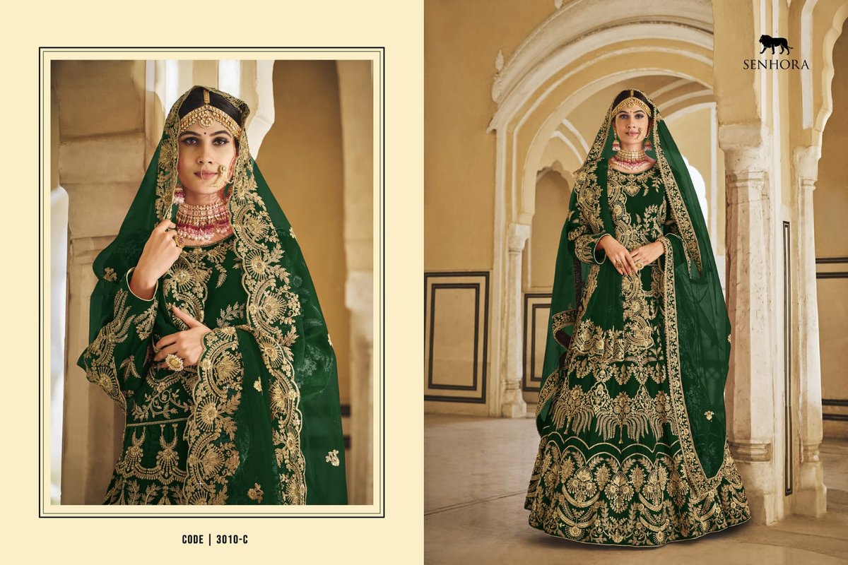 Senhora Dresses Vedanshi 3010 Colors 3