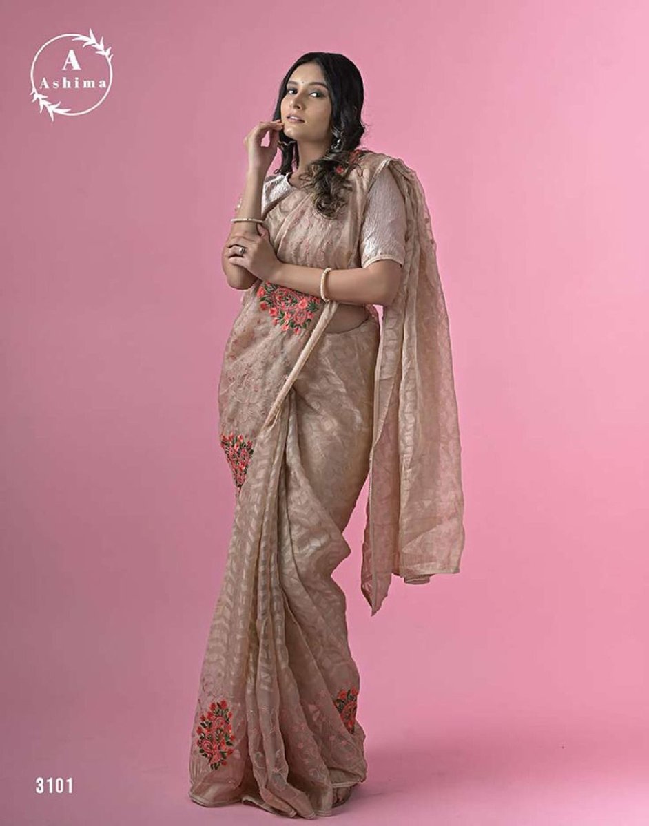 Ashima Rimzim Embroidery 3101-3108 Series 1