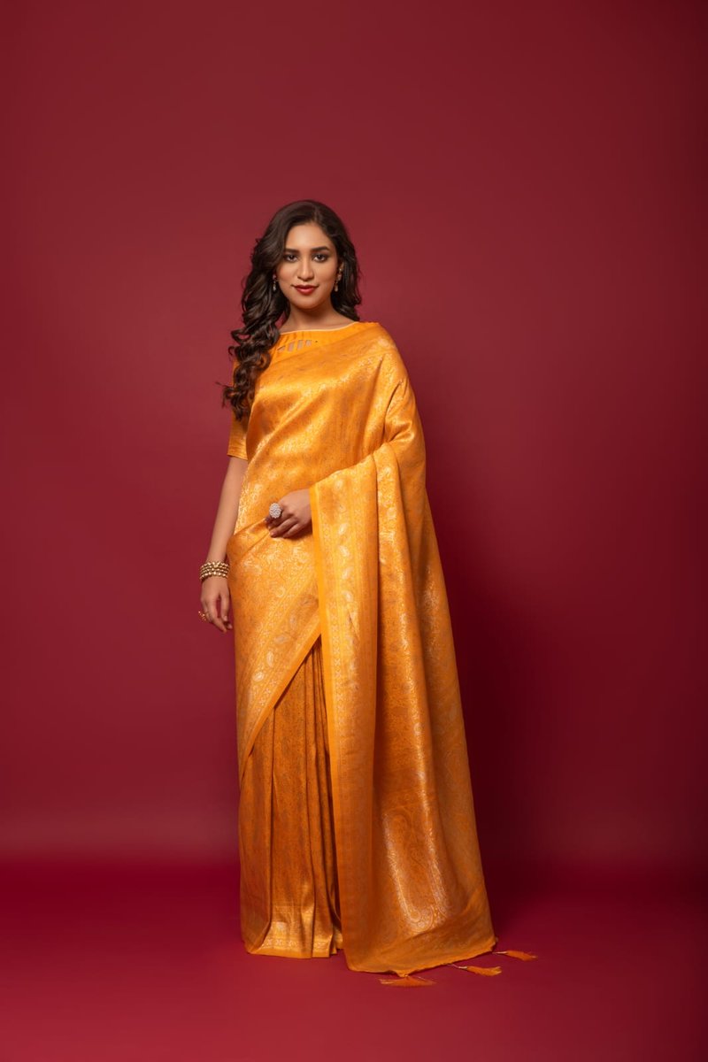 Rajpath Fabrics Khadiyal Kanchivaram Colors 6
